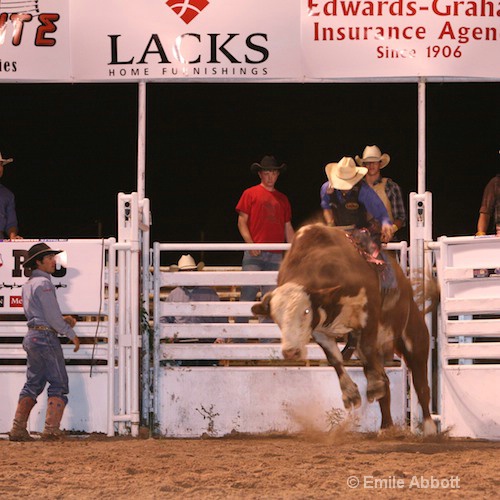 2008 Rodeo Bullride