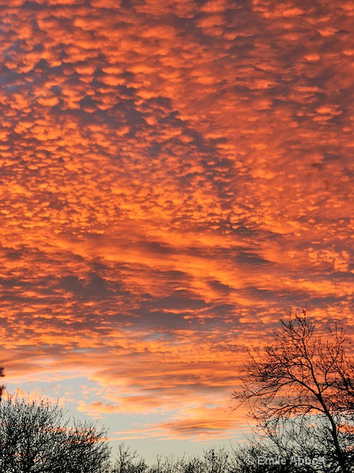 Big Sky of West Texas, Val Verde Co.