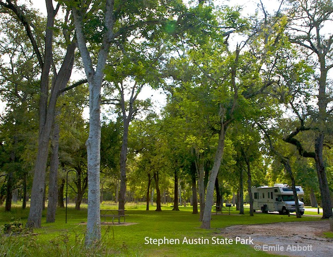 Steven Austin Texas State Park