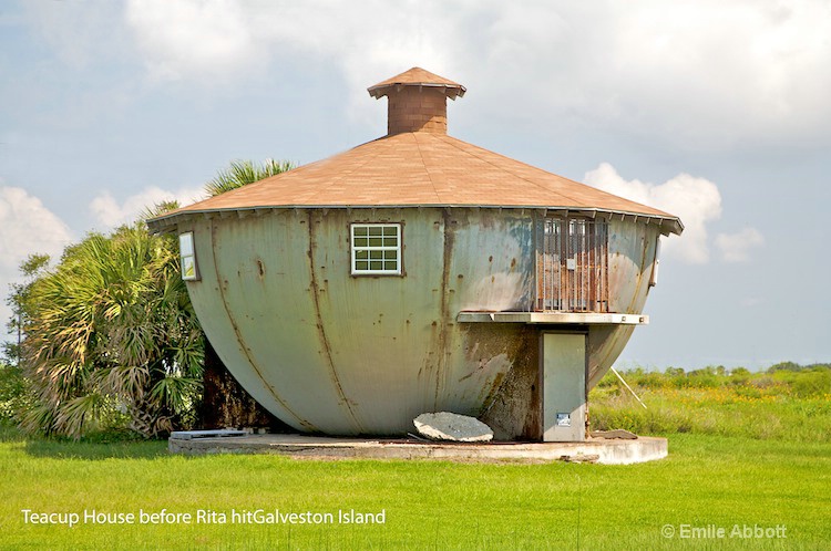 Tea Cup House