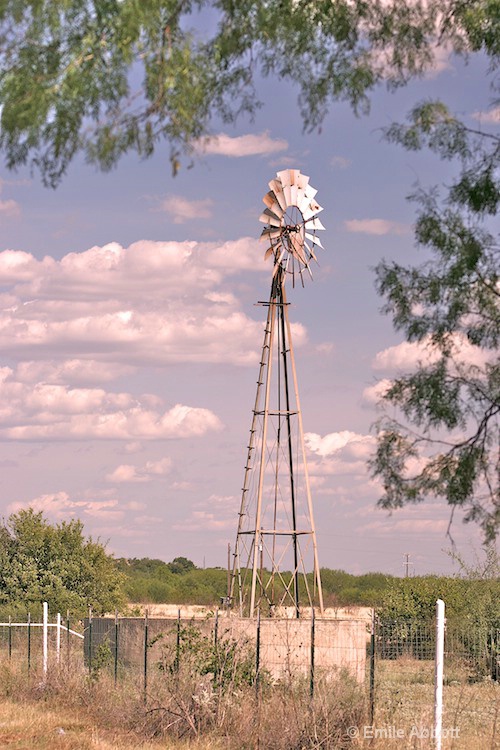 West Texas Windmill