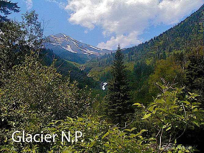 glacier np