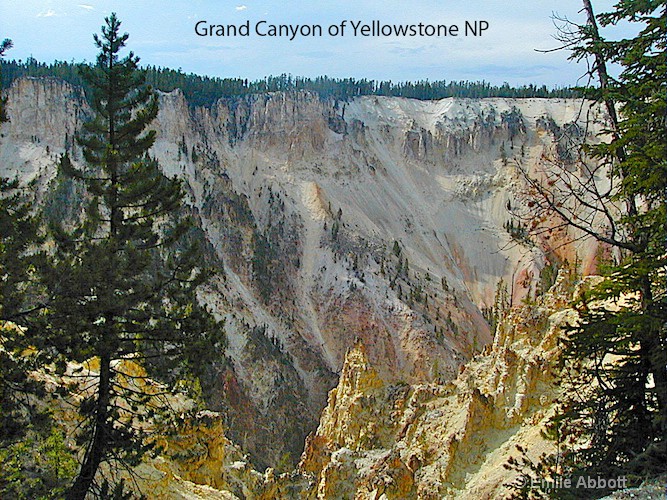 grand canyon of yellowstone np