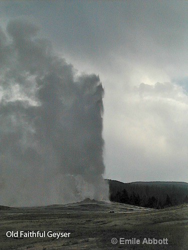 Old Faithful Geyser in Yellowstone NP