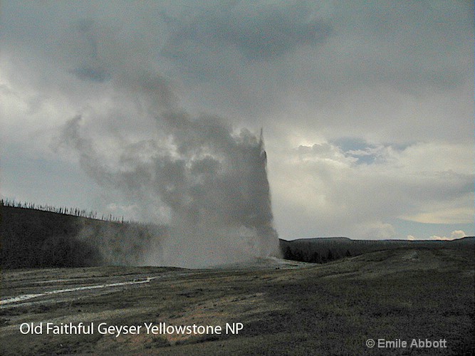 Old Faithful Geyser in Yellowstone NP