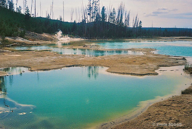 Thermal Pools, "Yellowstone NP