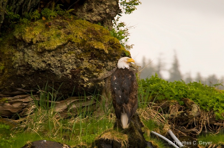 Ketchikan, Alaska