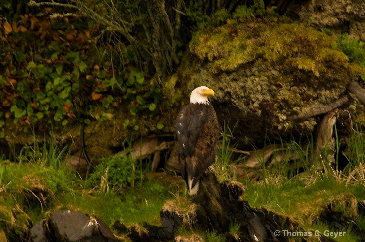 Ketchikan, Alaska
