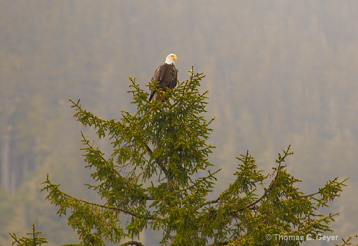Ketchikan, Alaska