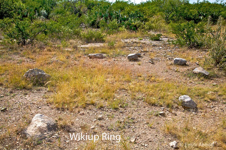 Wikiup  Ring