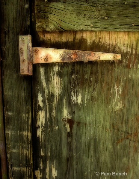 Garden Door