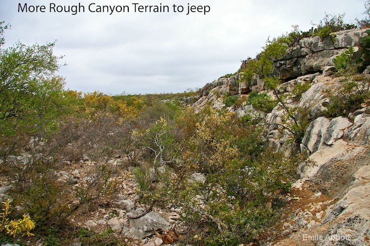 More of what the terrain in Rough Canyon is like