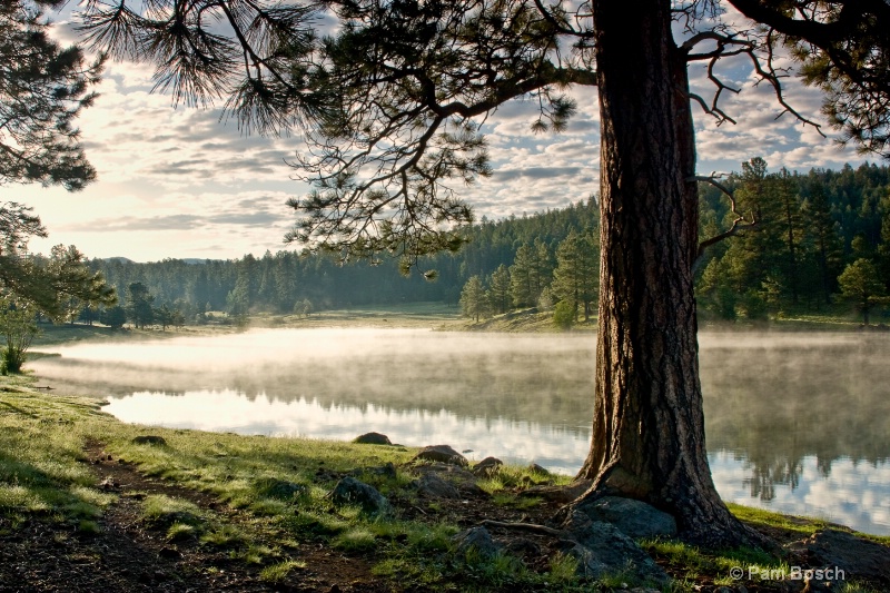 Hawley Lake Sunrise