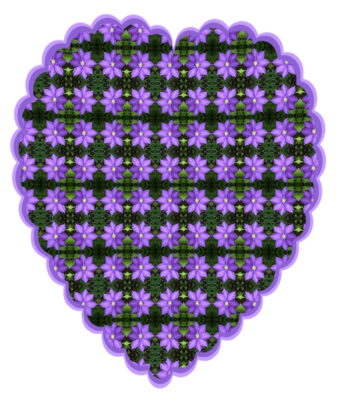 26