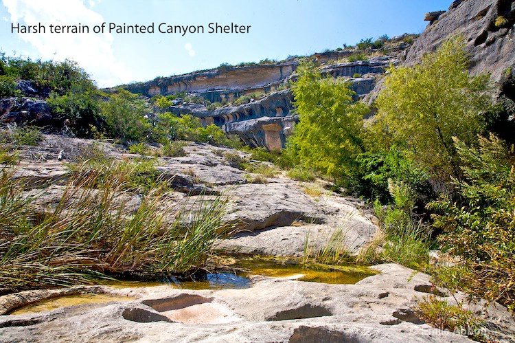 Harsh terrain of Painted Shelter