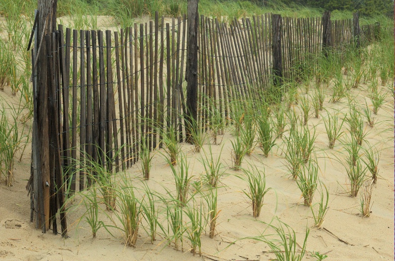 fence