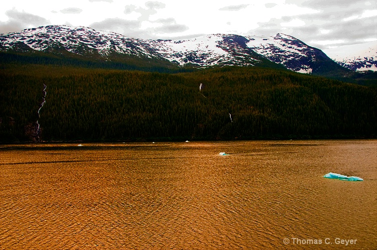 Tracy Arm