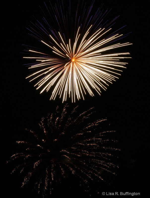 Fireworks in the Park