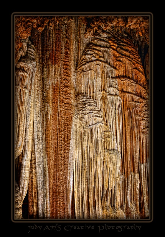 Nature Reconnects