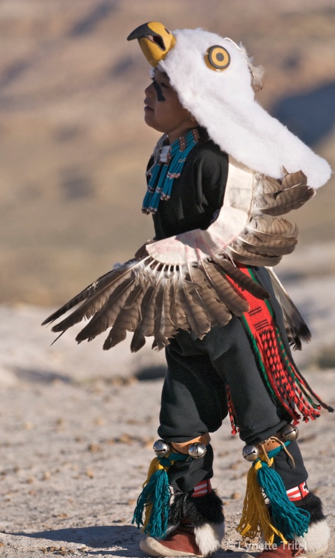 Native Dress for Eagle Dance HTM-029