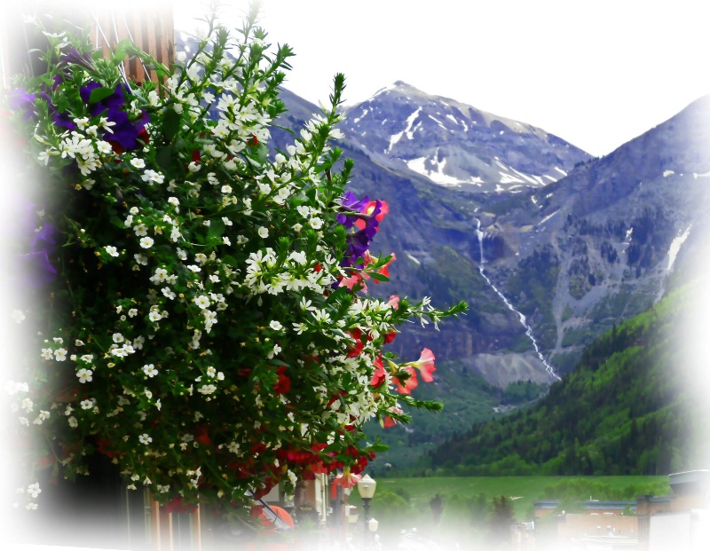 Bridal Vail Falls and Flowers, Telluride, CO