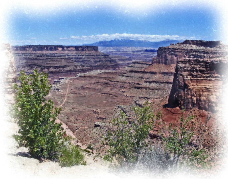 Shaffer Canyon, Island in the Sky, Canyonlands, UT