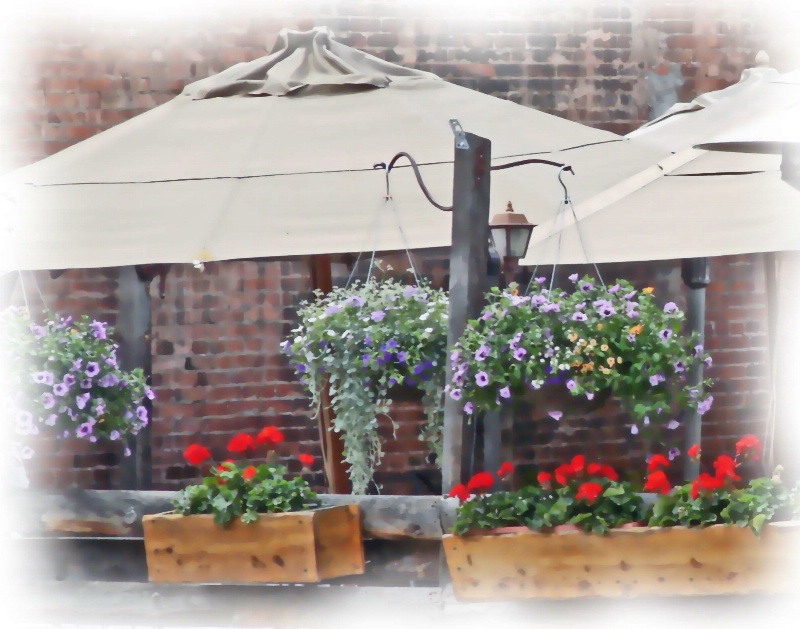 Telluride Patio