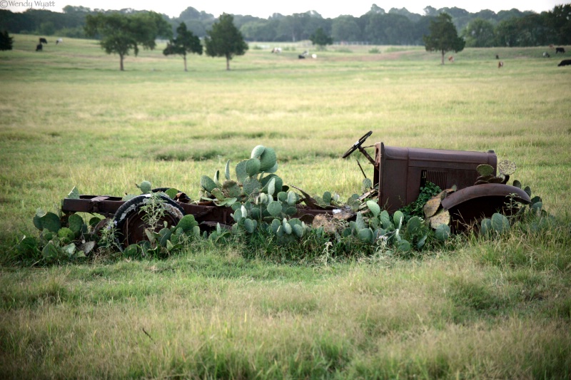 Cactus Truck