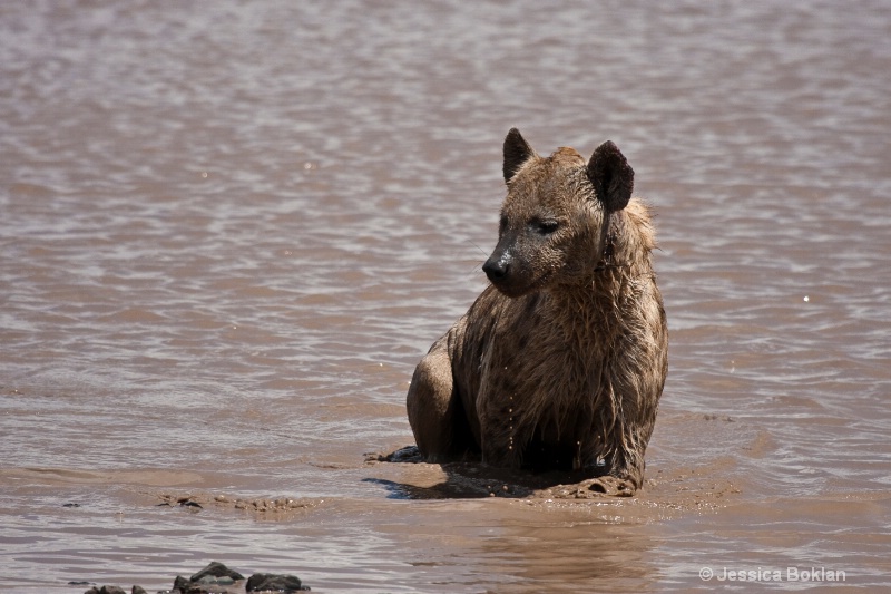 Cooling off