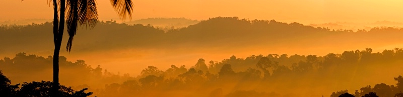 Western Ghats at Coorg, India