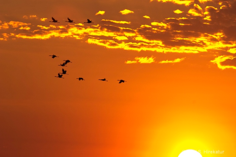 Sunrise at Horicon Marsh