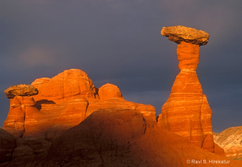 Toadstool Hoodoo