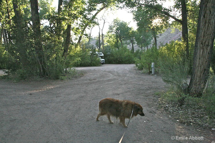 Taking a walk