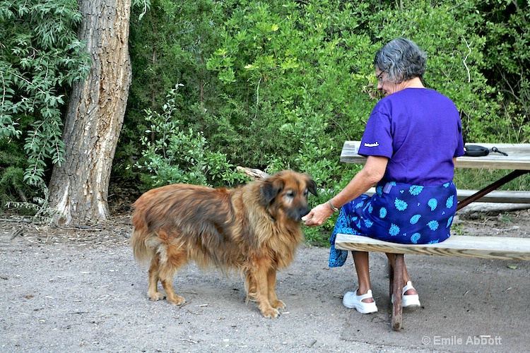 Brandy gets her medicine