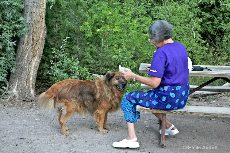 Brandy gets her medicine