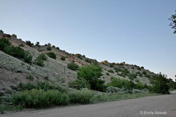 Desert Scene