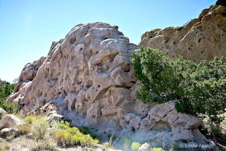 Garden of the Gods