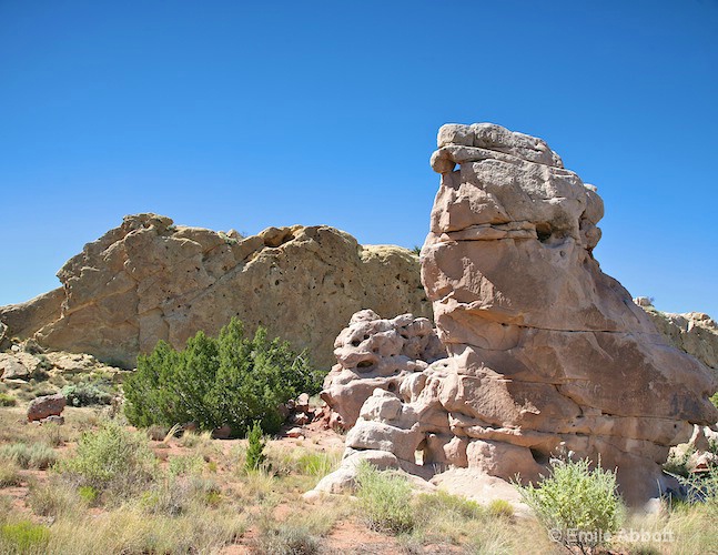 Garden of the Gods