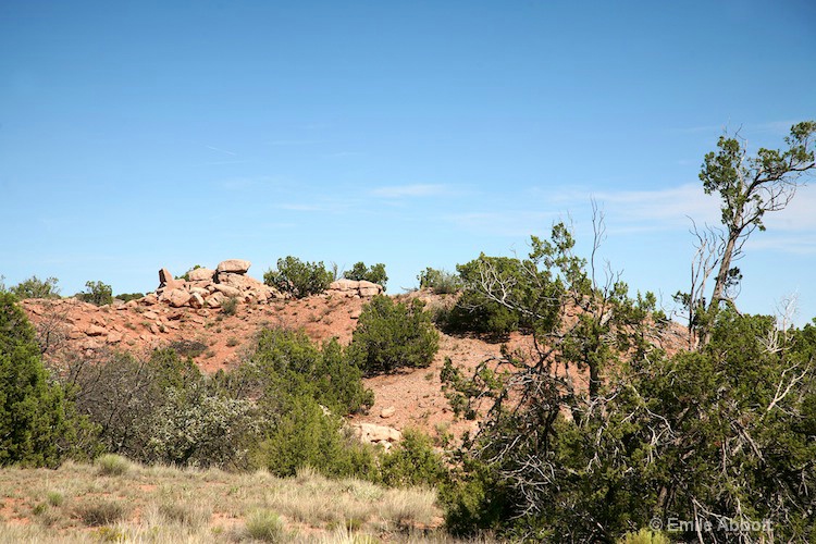 Garden of the Gods