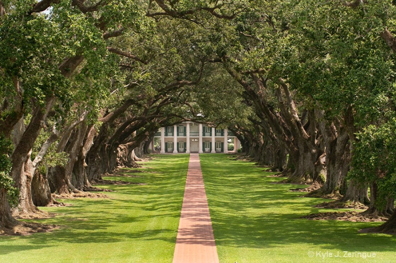 Oak Alley