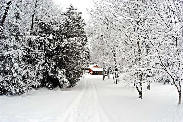 The Lonely Road Home