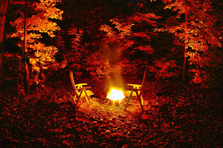 The Fire Light