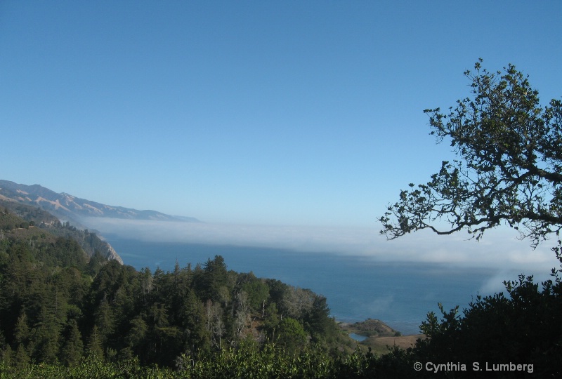 Up in the Clouds in Big Sur