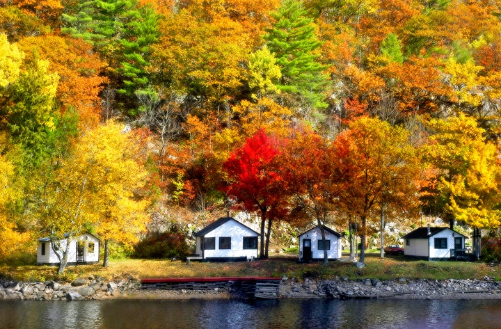 Little White Cottages