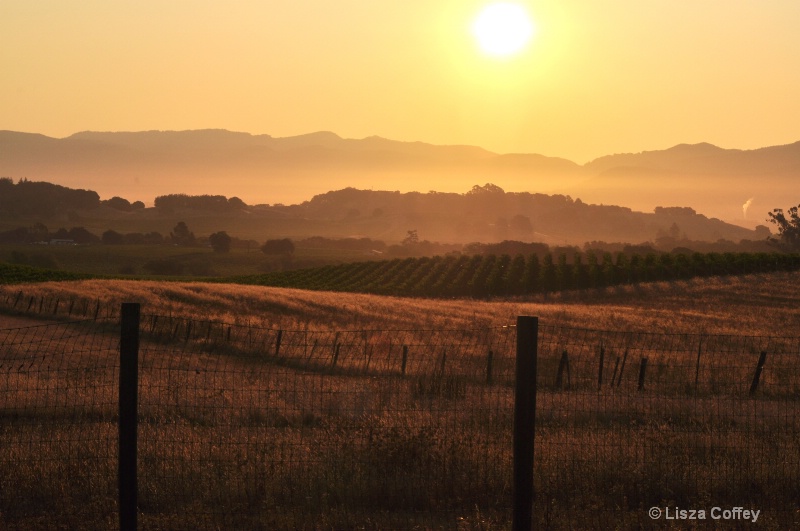 Napa sunrise