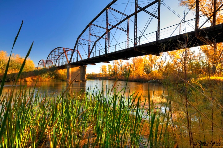 Under the Bridge