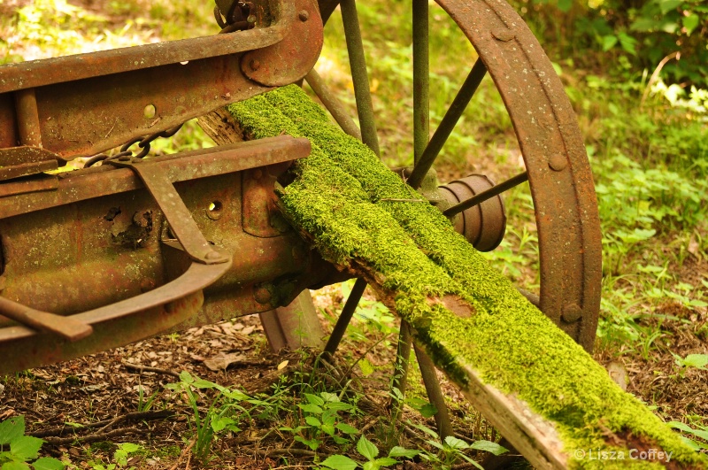 old things