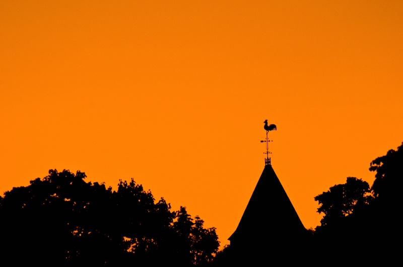 Harvard Sunset