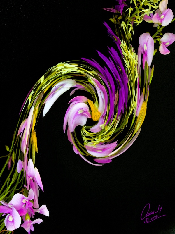 Flower twirl