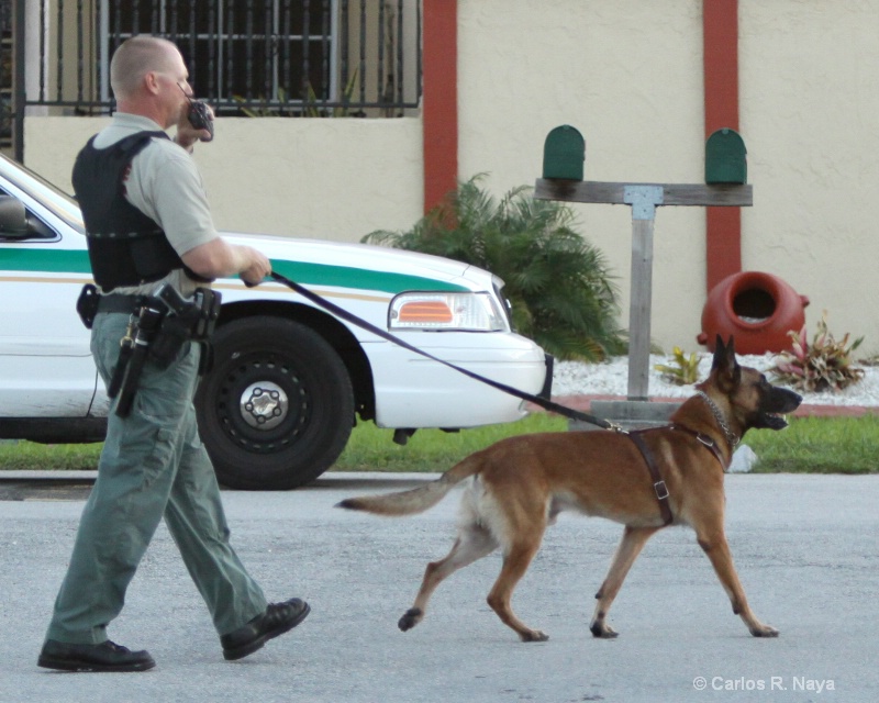 K-9 Officer and Handler